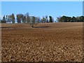 Farmland, Sparsholt