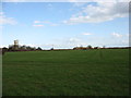 TL1668 : Farmland south of Grafham by David Purchase