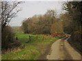 Lane near Thrushelford