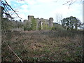 Ruperra Castle ruins from the south