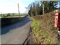 Hedge-lined road to Llansoy