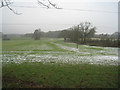 View to Adams Lane Copse