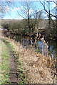 Chesterfield Canal near The Angel Norwood