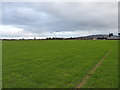 Farmland at Charlton