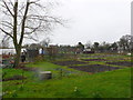 Brownshill Green Allotments and Nature Reserve.