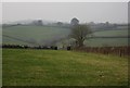 Field near Stourscombe