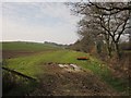 Field near Carzantic