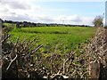 Dooederny Townland