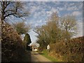 SX3488 : Lane at West Druxton by Derek Harper