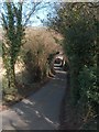 Halfacre Lane with railway bridge