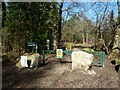 Hethfelton Wood, gate