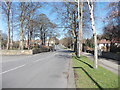 Weetwood Lane - viewed from Hollin Road