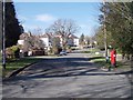 Weetwood Avenue - viewed from Hollin Lane