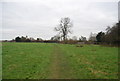 Footpath from the church