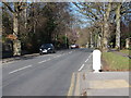 Weetwood Lane - viewed from Weetwood Avenue