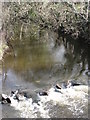 The Clanrye River at Derryleckagh Bridge