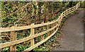 Fence, Crawfordsburn Country Park