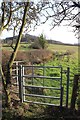 Footpath to Knowle End Wood