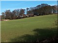 View to Bentley Hall Farm, Coal Aston