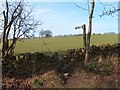 Footpath north from Summerley