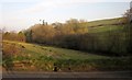 Valley at Petherwin Water