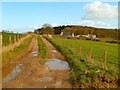 Track to Drumjin Cottage