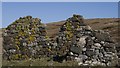 NR3877 : The ruin of Bolsa, Islay by Becky Williamson