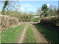 Bratch Lane looking towards Dean Hill