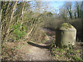 Tow path by Coxmoor bridge site