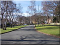 Foxhill Avenue - viewed from Foxhill Crescent