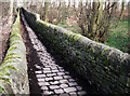 SJ9395 : Cobbled Path by Stephen Burton