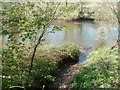 River Usk south of Llancayo