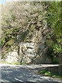 Beech Hill cliff south of Llancayo