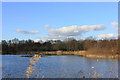 Black Lake, Lindow Common, Wilmslow