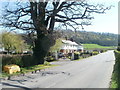 Oak and four houses, Llancayo