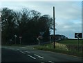 An impressive collection of sign poles