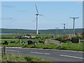 Farmland at Northtown, Burray, Orkney Islands