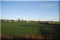 Farmland south of Whitestone