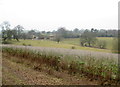 View Towards Attlepin Farm