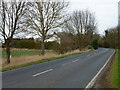 TF4503 : March Road heading towards Friday Bridge by Richard Humphrey