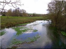 SU0425 : River Ebble, Broad Chalke - (2) by Maigheach-gheal