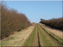 TL4056 : A byway in early spring by John Sutton