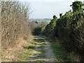 Bridleway to Hawley