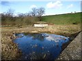 Roughrigg, Water Works (Disused) [4]