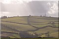 Mid Devon : View to Stoodleigh Beacon