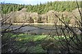 Mid Devon : Lake at Trout Fishery