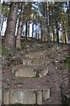 Mid Devon : Hillside Steps