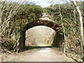 SE side of a bridge across a former railway line south of Pontllanfraith