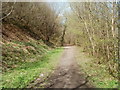 Footpath and cycle route south of Pontllanfraith