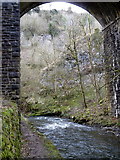 SK1172 : Viaduct arch and valley scenery, Chee Dale by Andrew Hill